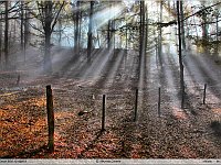 autunno 2011 (10)